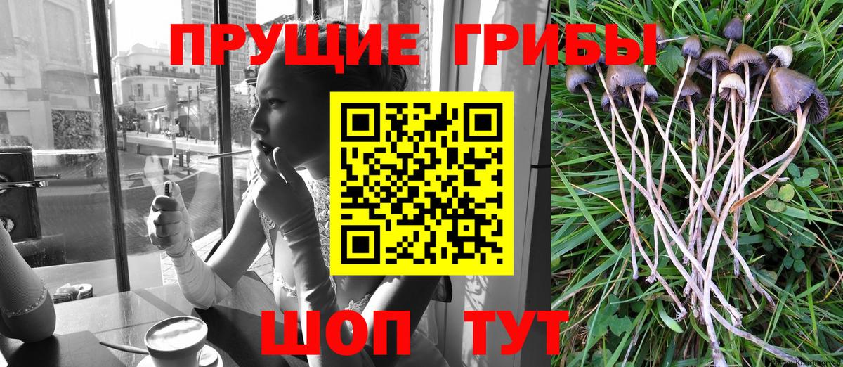 Псилоцибиновые грибы мицелий  Вход с VPN  Уварово  Галлюциногенные грибы Magic Shrooms 